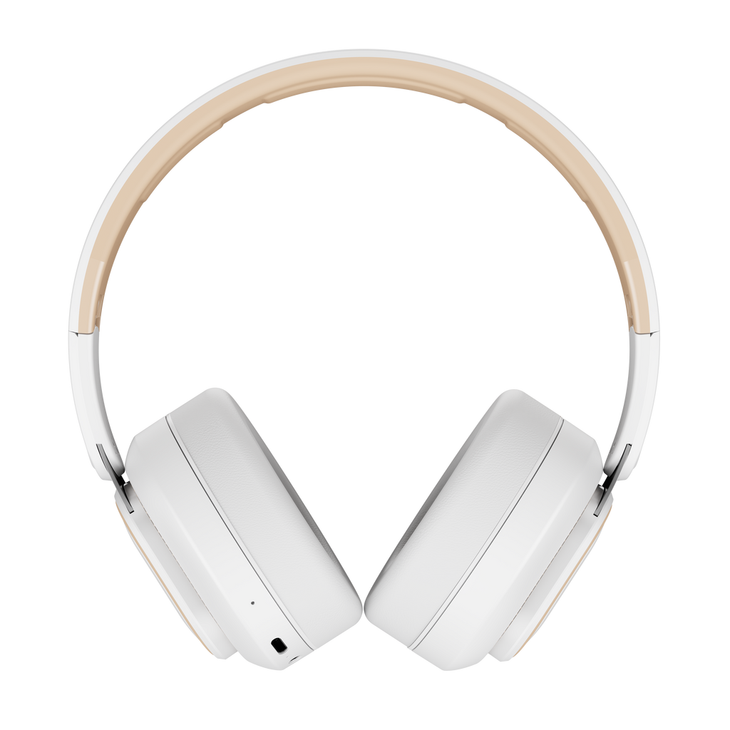 boAt Rockerz 370 Pro | Wireless Headphones with 40 Hours Playback, Voice Assistant, boAt Signature Sound, BEAST™️ Mode